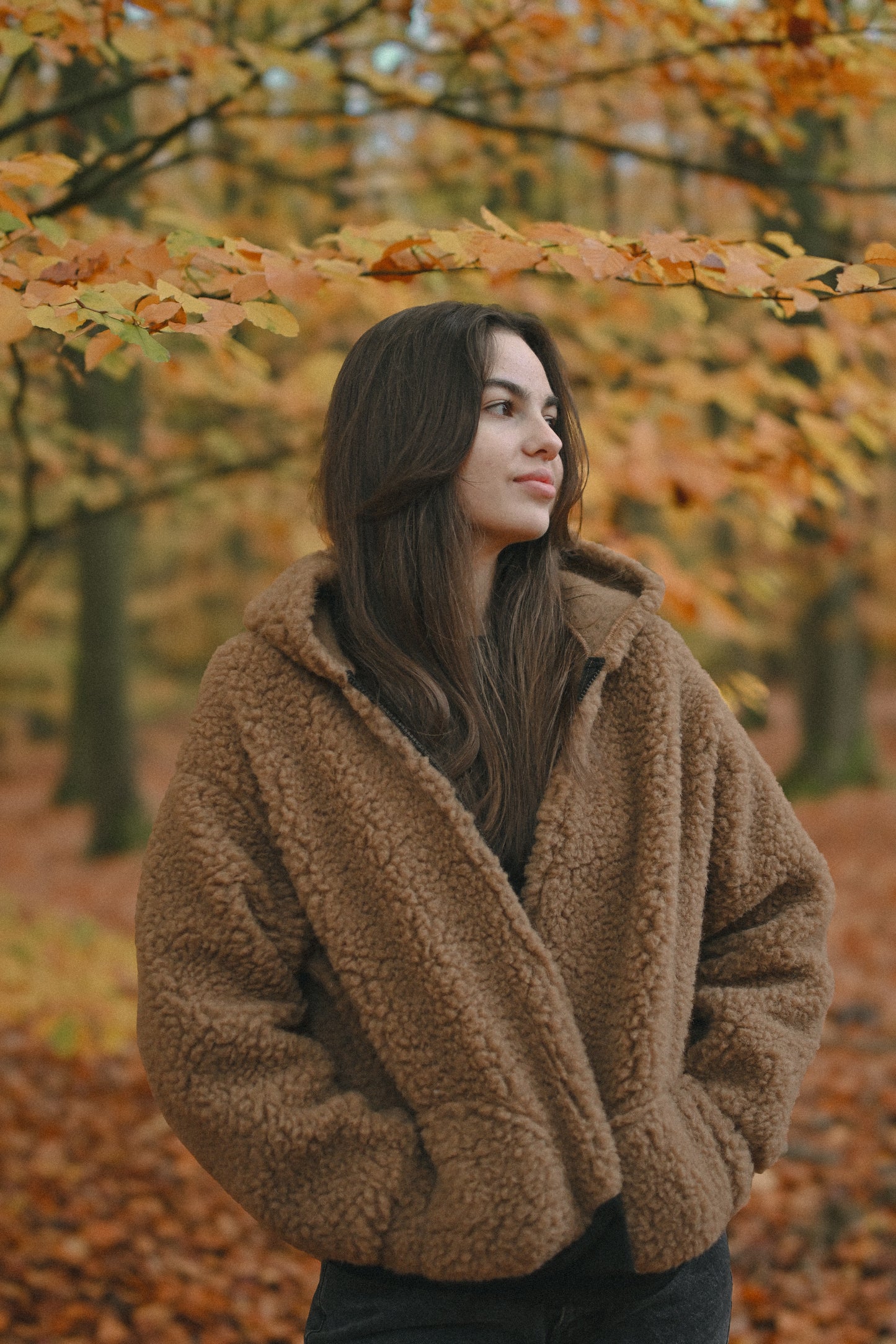 SHERPA BOMBER — brązowa kurtka teddy oversize