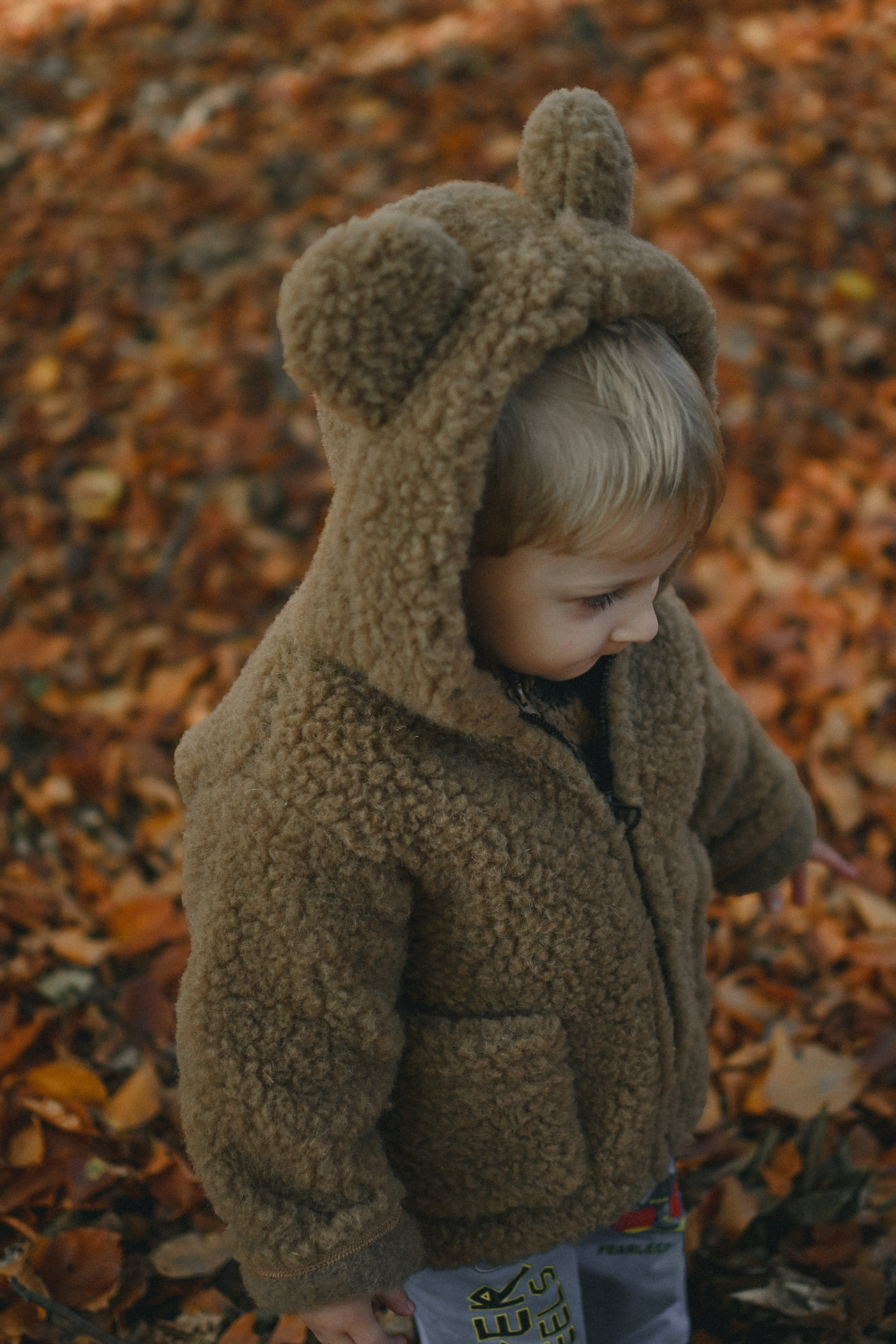Kurtka dziecięca z uszkami z wełny Teddy