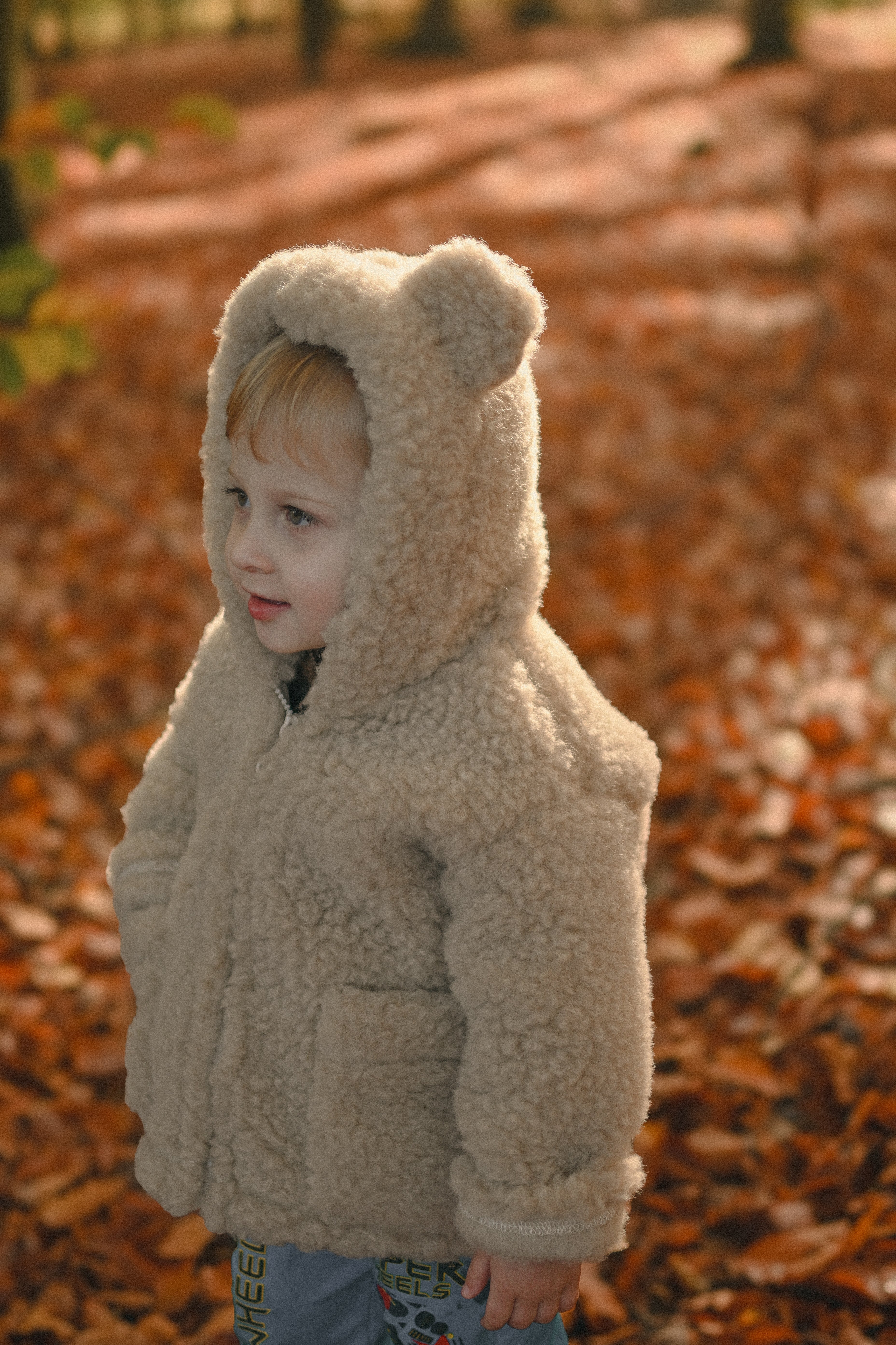 Kurtka dziecięca z uszkami z wełny Teddy