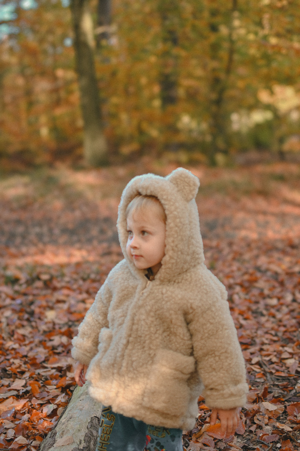 Kurtka dziecięca z uszkami z wełny Teddy