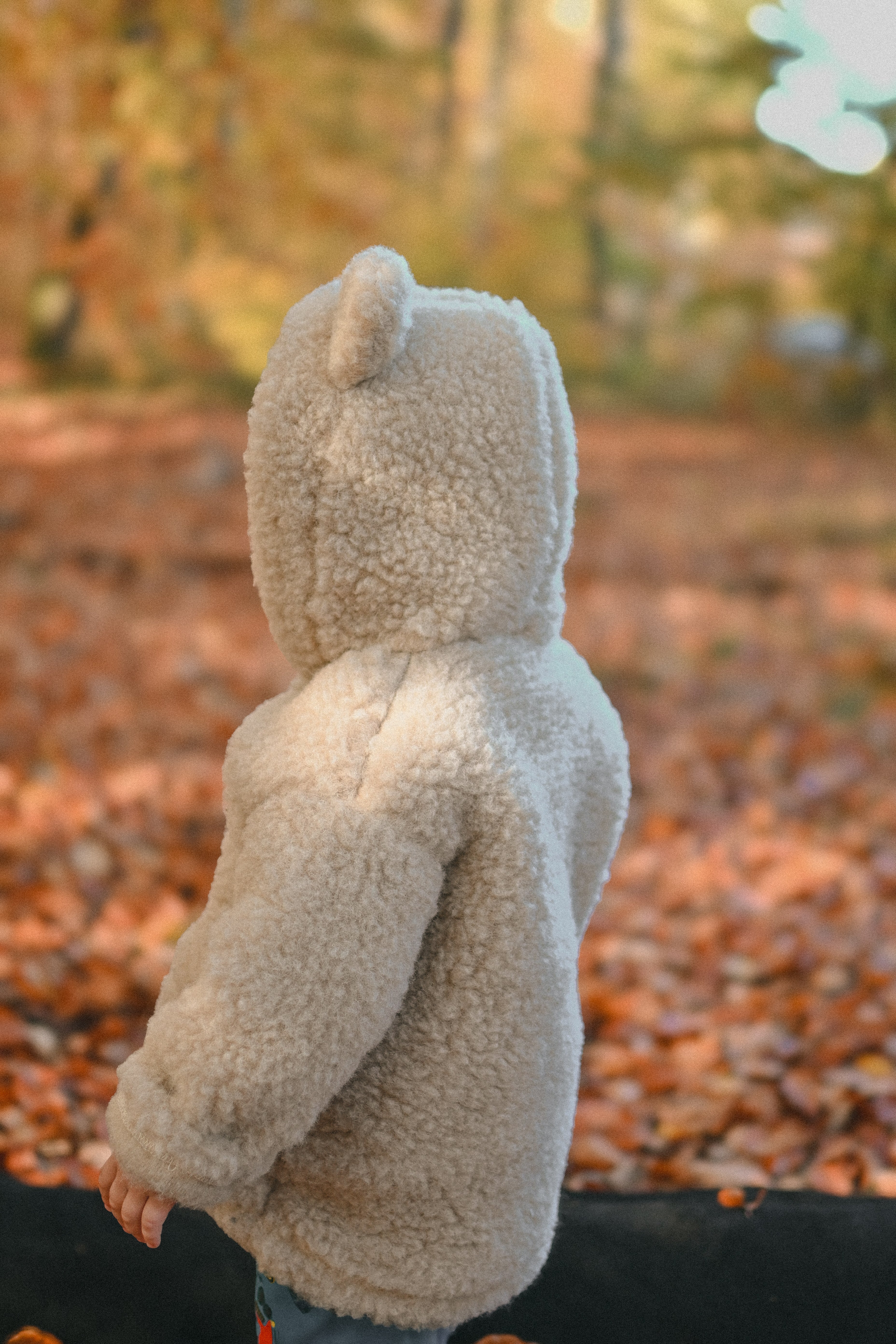 Kurtka dziecięca z uszkami z wełny Teddy